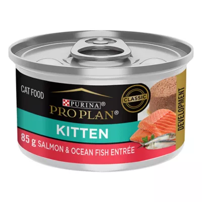 Product Purina Pro Plan Development Salmon & Ocean Fish Entrée, Wet Kitten Food