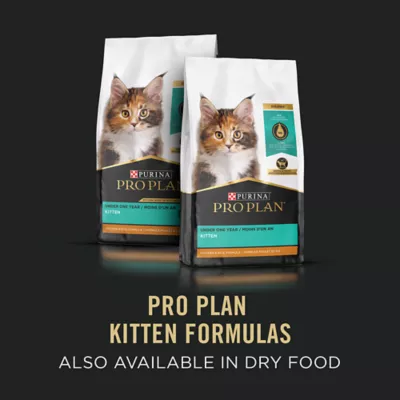 Product Purina Pro Plan Development Salmon & Ocean Fish Entrée, Wet Kitten Food