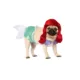 Product Rubie's Pet Shop Halloween Ariel Dog & Cat Costume