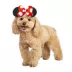 Rubie's Pet Shop Halloween Minnie Mouse Headpiece Dog & Cat Costume image thumbnail 1