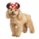 Product Rubie's Pet Shop Halloween Minnie Mouse Headpiece Dog & Cat Costume