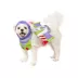 Rubie's Pet Shop Halloween Toy Story Buzz Lightyear Accessory Set Dog & Cat Costume image thumbnail 1
