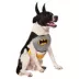 Rubie's Pet Shop Halloween Batman Dog & Cat Costume image thumbnail 1