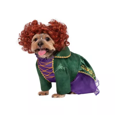 Rubie's Pet Shop Halloween Hocus Pocus Winifred Dog & Cat Costume - Image 1