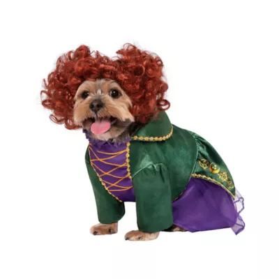 Product Rubie's Pet Shop Halloween Hocus Pocus Winifred Dog & Cat Costume