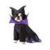 Rubie's Pet Shop Halloween Maleficent Dog & Cat Costume image thumbnail 1