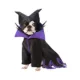 Product Rubie's Pet Shop Halloween Maleficent Dog & Cat Costume