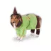 Rubie's Pet Shop Halloween Wizard of Oz Scarecrow Dog & Cat Costume image thumbnail 1