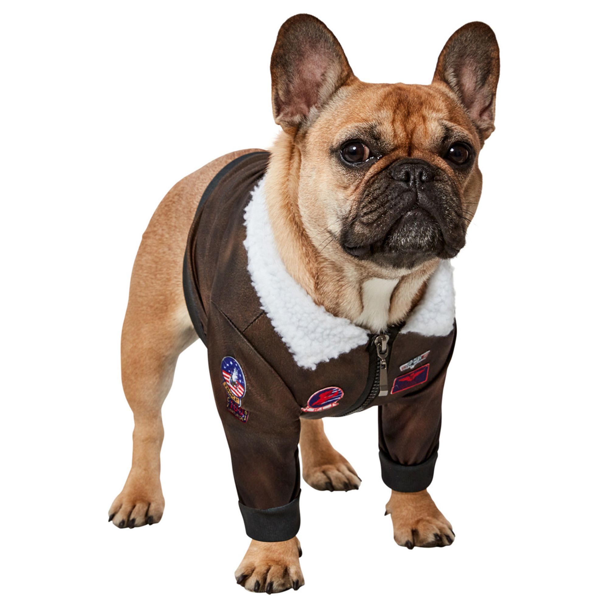 Rubie's Pet Shop Halloween Top Gun Dog & Cat Costume dog Costumes