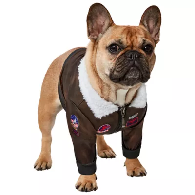 Product Rubie's Pet Shop Halloween Top Gun Dog & Cat Costume