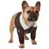 Rubie's Pet Shop Halloween Top Gun Dog & Cat Costume image thumbnail 1