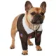 Product Rubie's Pet Shop Halloween Top Gun Dog & Cat Costume