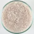 CaribSea Super Naturals Aquarium Sand - White image thumbnail 2