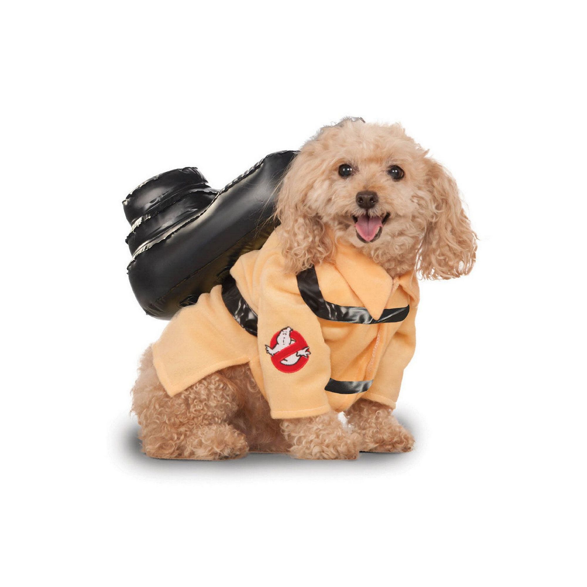 Ghostbuster 2025 costume dog