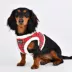 Puppia® Red Plaid Holiday Blitzen Warm & Fuzzy Vest Dog Harness image thumbnail 4