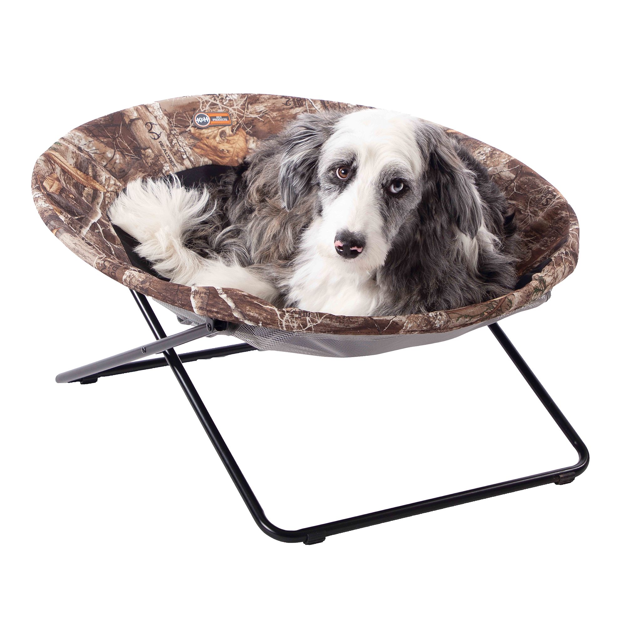 Elevated dog shop bed petsmart