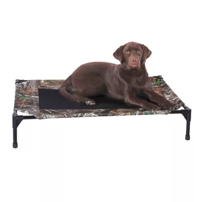 Product K&H Pet Products Original Elevated Cot Dog Bed