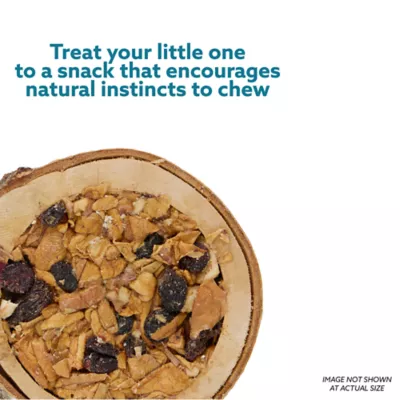 Product Full Cheeks™ Small Pet Birch Bowl with Fruit Treats
