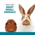 Full Cheeks™ Small Pet Store & Pour Food Container image thumbnail 2