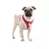 Puppia® Red Holiday Blitzen Warm & Fuzzy Dog Harness image thumbnail 3
