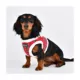 Product Puppia® Red Plaid Holiday Blitzen Warm & Fuzzy Vest Dog Harness