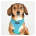 Puppia® Soft Over-the-Head with Reflective Straps Pro Dog Harness image thumbnail 3