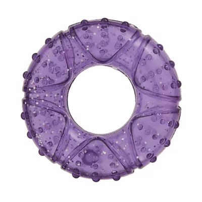 Product Top Paw® Ring Dog Toy - Squeaker