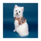 Product Puppia® Gianni Vest Dog Harness