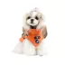Puppia® Mountaineer II Dog Harness Coat image thumbnail 3