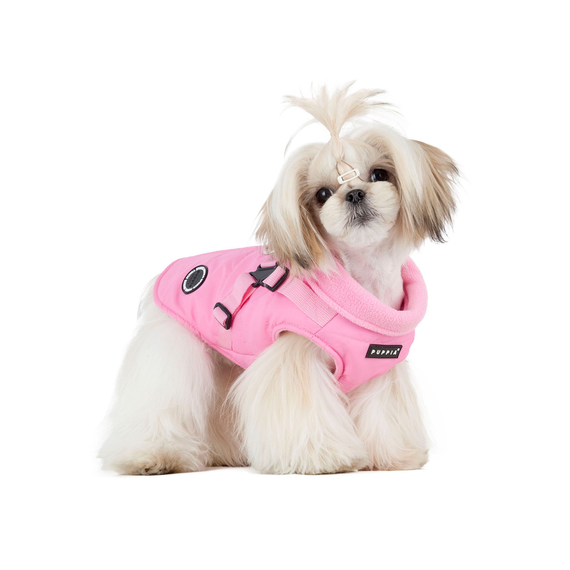 Dog in a pink coat