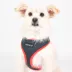 Puppia® Soft Over-the-Head Dog Harness II image thumbnail 3