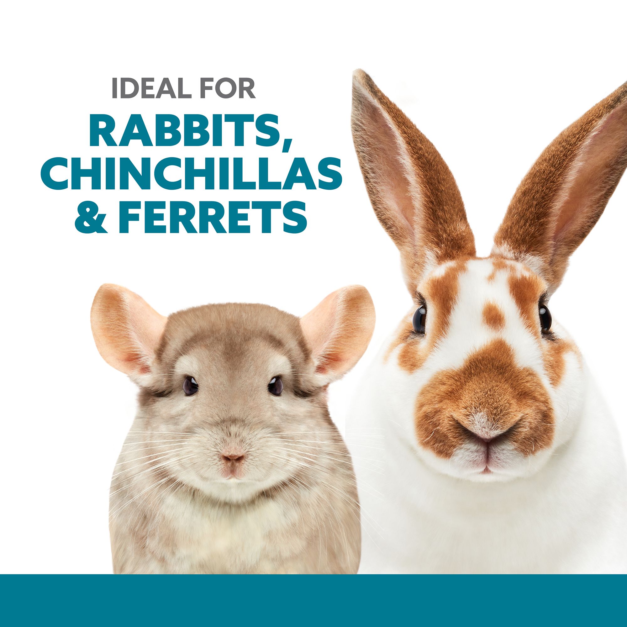 Petsmart on sale rabbit supplies