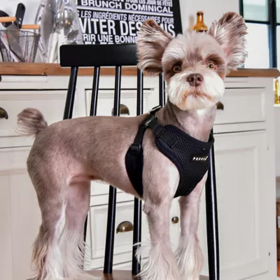 Product Puppia® Soft Comfort Dog Harness