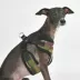 Puppia® Soft Comfort Dog Harness image thumbnail 4
