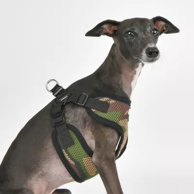 Puppia® Soft Comfort Dog Harness - Image 4