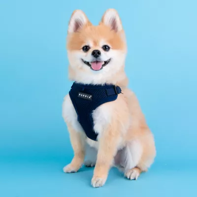 Puppia® Soft Comfort Dog Harness - Image 4