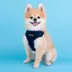 Puppia® Soft Comfort Dog Harness image thumbnail 4