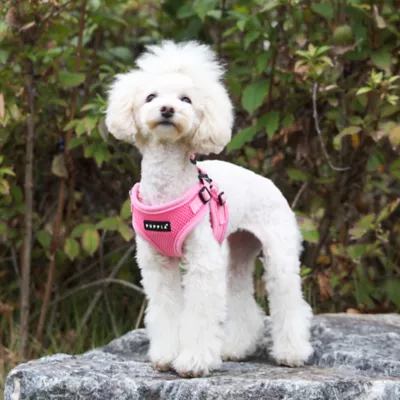 Puppia® Soft Comfort Dog Harness - Image 4
