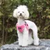 Puppia® Soft Comfort Dog Harness image thumbnail 4