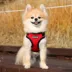 Puppia® Soft Comfort Dog Harness image thumbnail 4