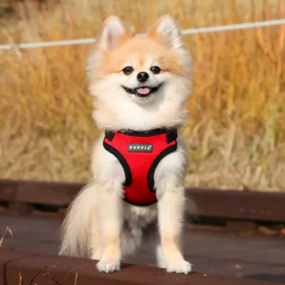 Puppia® Soft Comfort Dog Harness - Image 4