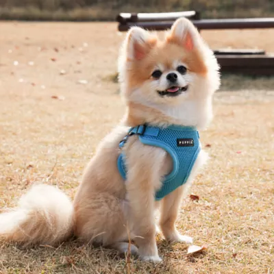 Puppia® Soft Comfort Dog Harness - Image 4
