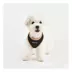 Puppia® Soft Over-the-Head Dog Harness II image thumbnail 3