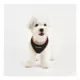 Product Puppia® Soft Over-the-Head Dog Harness II
