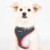 Puppia® Soft Over-the-Head Dog Harness II image thumbnail 3