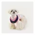 Puppia® Soft Over-the-Head Dog Harness II image thumbnail 3