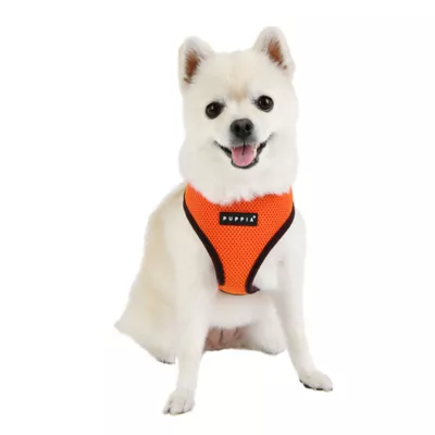 Puppia® Soft Over-the-Head Dog Harness II - Image 3