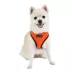 Puppia® Soft Over-the-Head Dog Harness II image thumbnail 3