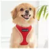 Puppia® Soft Over-the-Head Dog Harness II image thumbnail 3