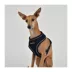 Puppia® Soft Over-the-Head with Reflective Straps Pro Dog Harness image thumbnail 3